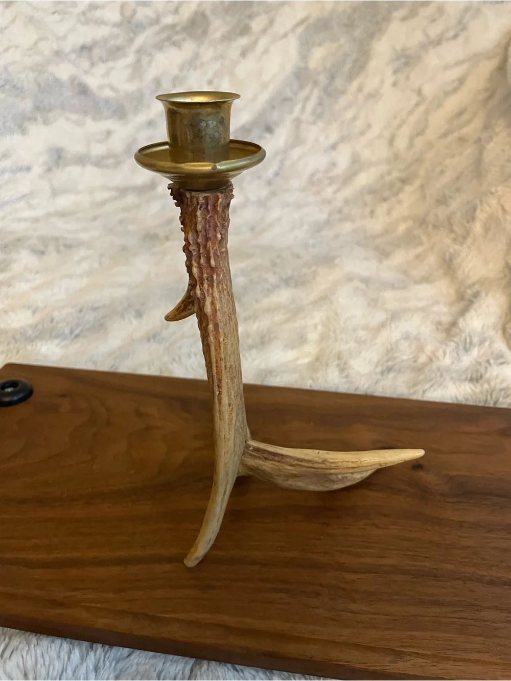 Antler Candlestick Holder with Brass Cup - Natural Brown